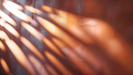 Poster - Shadows create striking patterns on a textured wall during the golden hour of the late afternoon