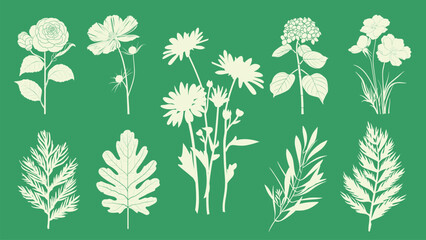 Aufkleber - elegant botanical floral illustrations, isolated vector set