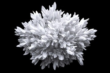 Aufkleber - Abstract white floral burst against a black backdrop for use in design projects