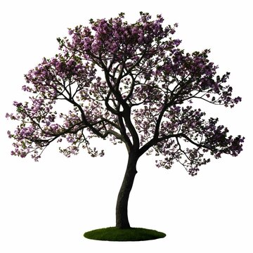 A detailed, digitally rendered image of a single tree with purple blossoms under a clear sky