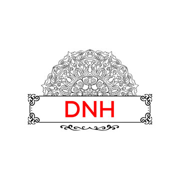 DNH  letter creative logo 