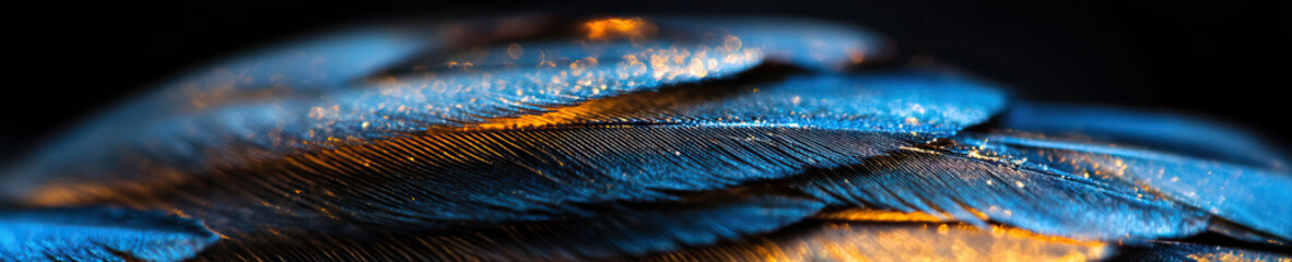 Poster - Close-up Photograph of Bird Feathers with Blue and Orange Lighting
