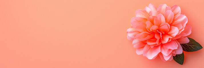 Poster - A minimal peach gradient background with one large blooming peony placed in the bottom right corner,