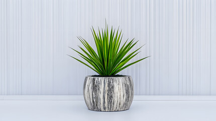 Poster - Potted plant with spiky leaves against a textured background
