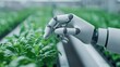 © Thanagorn - A robotic hand gently touches lush green plants in a modern greenhouse, showcasing the integration of technology in agriculture.