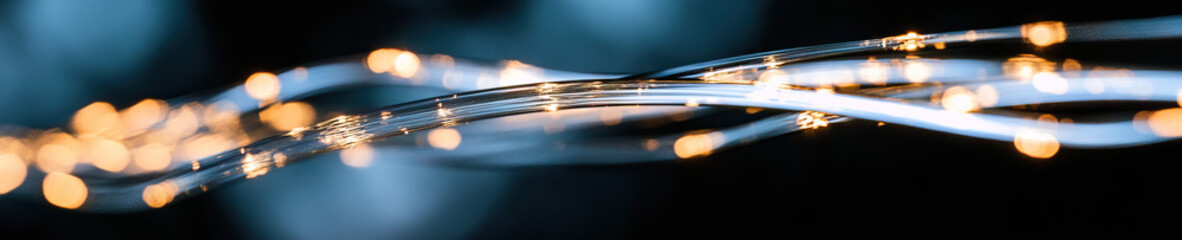 Poster - Illuminated Fiber Optic Strands Against Dark Background