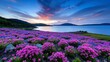 © siriwan - Sunset Landscape with Vibrant Purple and Blue Wildflowers Blooming near a Calm Lake
