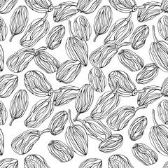 Sketched raisins black and white seamless pattern hand drawn vector illustration