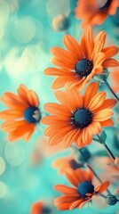 Aufkleber - Close-up view of vibrant orange daisies blooming against a soft blue background in a sunny garden