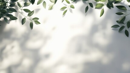 Poster - Lush green leaves casting soft shadows on a serene white background, creating a tranquil and calming atmosphere