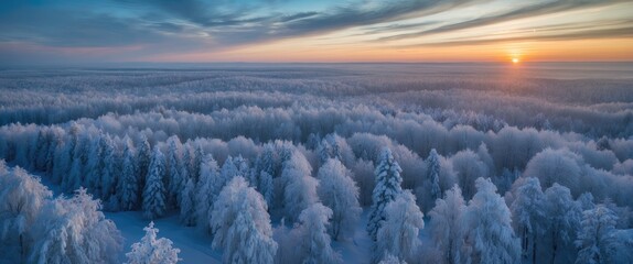Wall Mural - aerial perspective of a winter forest at sunset.