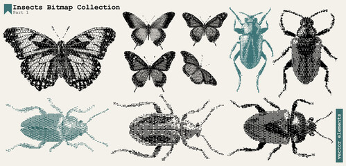 Poster - Butterfly Texture Vintage Insect Collage Art Grunge Halftone Retro Y2K Effect Bitmap Nature Graphic Set