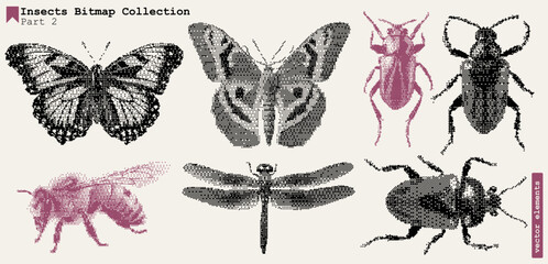 Poster - Vintage Butterfly Texture with Grunge Halftone Effect – Retro Y2K Insect Collage Art, Bitmap Grain & Punk Aesthetic.