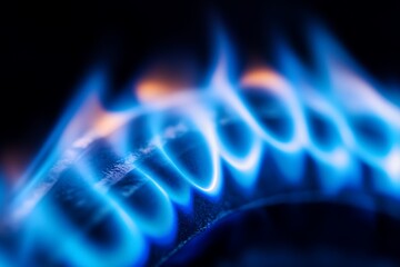 Poster - Close-up of vibrant blue gas flames burning on a dark stovetop.