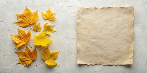 Aufkleber - Autumnal foliage arranged beside a blank parchment paper sheet