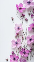 Poster - A beautiful display of pink flowers with delicate petals and slender stems stretches across a soft white background, showcasing nature's artistry
