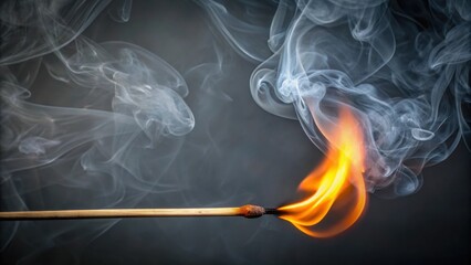 Poster - Close-up of a burning wooden matchstick with swirling smoke against a dark background