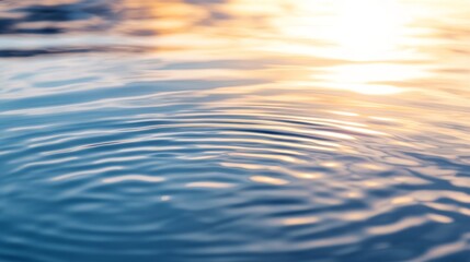 Aufkleber - Close-up of water surface displaying shimmering reflections of sunlight and nearby trees, creating a calm atmosphere with gentle wave patterns