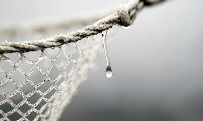 Water droplets cling to a textured rope and net, highlighting the beauty of a common element.