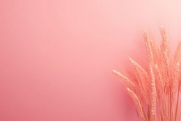 Poster - Golden wheat spikelets sway softly in a field, framed by a solid pastel background that enhances their natural beauty and serenity, offering a tranquil vibe
