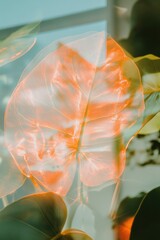 Poster - Translucent Botanical Elegance X-Ray Inspired Leaf Revealing Organic Textures and Sustainable Design Aesthetics for Modern Eco-Conscious Visualizations
