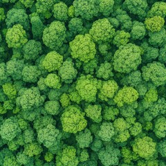 Poster - Regenerative Landscapes Aerial Forest Ecosystem Mapping - Sustainable Design Innovation for Climate Resilience and Ecological Wealth Visualization