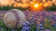 © Jevjenijs - A baseball sitting in a field of purple flowers