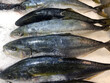 © PhotoFed - Large assortment of seafood on the ice counter.