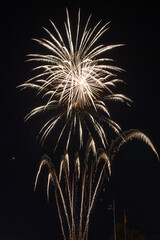 fireworks exploding in the dark night sky during a celebration