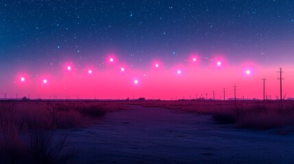 Wall Mural - a dirt road in the middle of a field under a starry sky