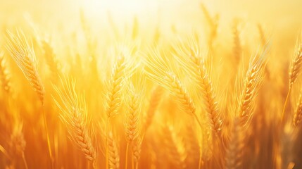 Fototapete - Golden wheat transforms into glowing energy waves in a surreal and dreamy landscape Generative AI