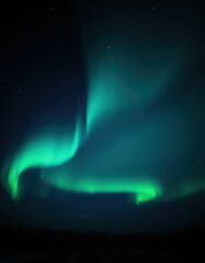Wall Mural - Subtle gray aurora borealis display against a dark night sky, cosmic, ethereal