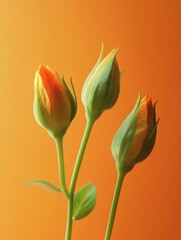 Aufkleber - Dynamic growth of plants from seed to harvest in vibrant natural colors showcasing smooth motion effects Generative AI