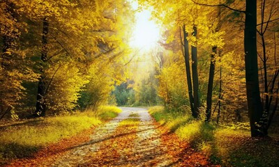Wall Mural - sunlit forest path in autumn with colorful foliage and tall trees