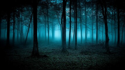 Wall Mural - mystical blue forest at night, shrouded in fog, tall trees, dark atmosphere.