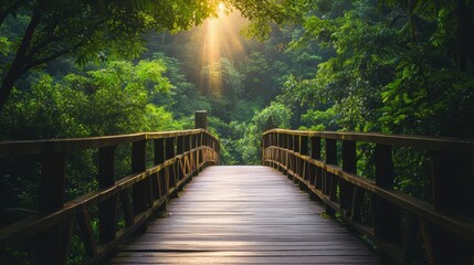 Poster - Sunlit wooden bridge in lush green forest.