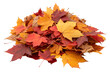 © Photo Find - Pile of autumn-colored leaves isolated on transparent background