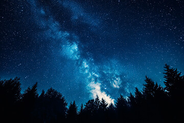 Wall Mural - Milky Way Over Forest at Night
