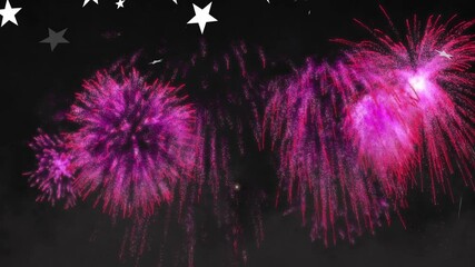 Poster - Bursting pink fireworks with white stars scattered in night sky animation