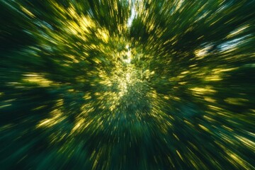 Poster - Vibrant rays of sunlight filtering through dense trees in a serene forest environment during the golden hour