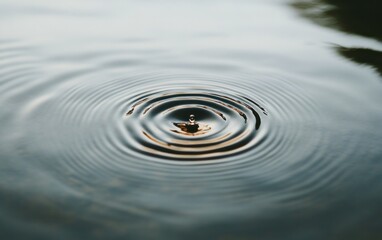 Poster - Close-up view of concentric ripples expanding on a calm water surface after a droplet impact, exhibiting a soft, diffused light