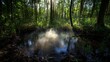 © Stanislau - Misty pond surrounded by lush greenery in a sunlit forest during early morning hours