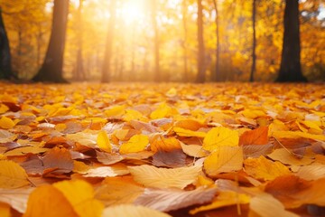 Poster - Golden autumn leaves blanket a serene forest floor during sunset in a tranquil setting