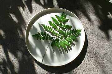 Poster - Leaf arrangement on a round plate casting intricate shadows in natural light during the afternoon