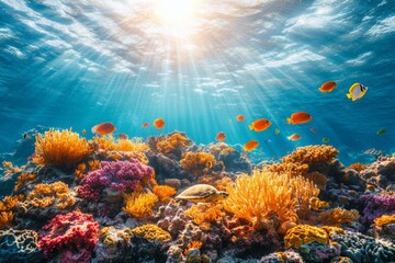 Poster - Colorful coral reef teeming with fish and marine life near a sunlit ocean surface