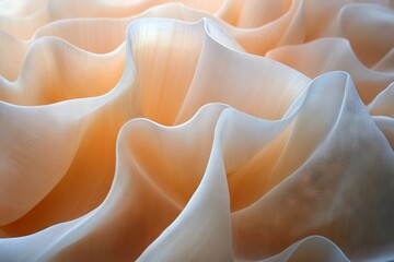 Poster - Elegant ripples of soft fabric create a serene atmosphere in a gentle light during a quiet afternoon