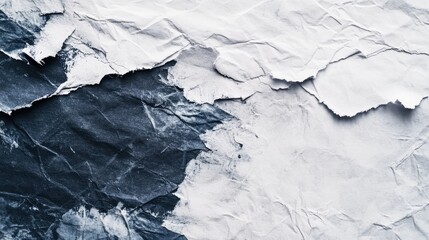 Poster - A close-up view of crumpled black and white paper textures, showcasing intricate folds and shadows, ideal for backgrounds