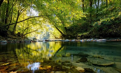 Wall Mural - serene river flowing through lush forest with dappled sunlight