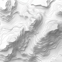 Poster - Abstract Topographic Map: A White 3D Render with Contour Lines and Subtle Shadows Displaying Terrain Elevation