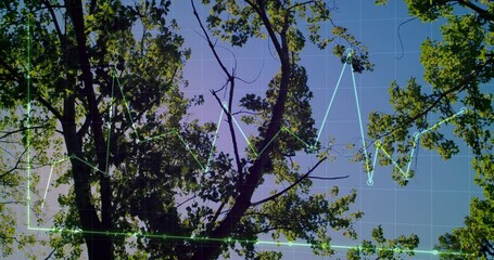 Poster - Tree branches with green leaves overlaid with fluctuating line graph animation